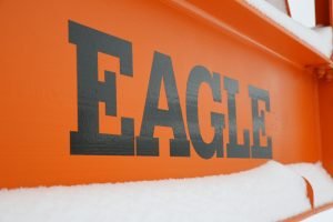 Eagle Logo in the Snow